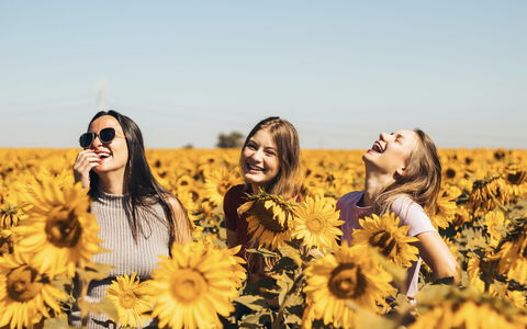 Drei junge Frau lachen in einem Sommerblumenfeld im Sommer